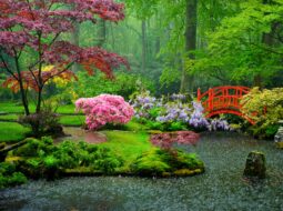 Darke Hull:Healing Garden