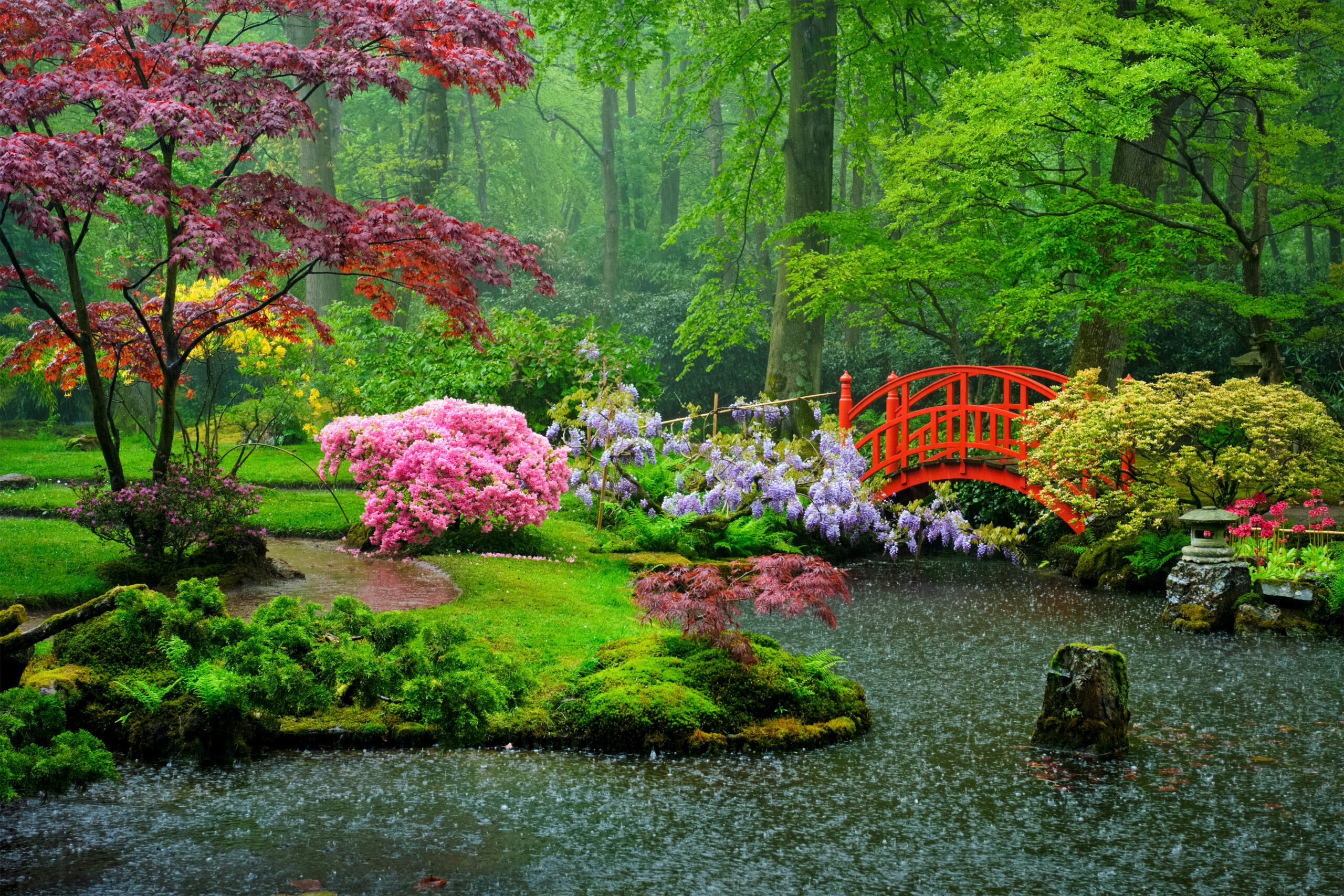 Darke Hull:Healing Garden