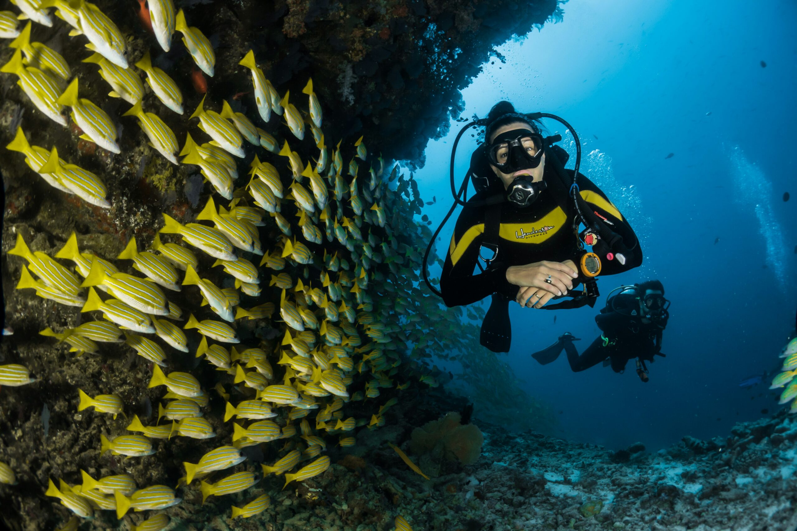 Darke Hull:Scuba Diving