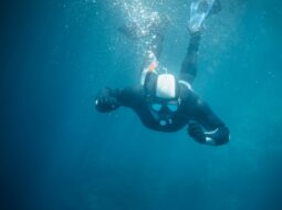 The Science of Scuba How Diving Benefits Your Mind and Body