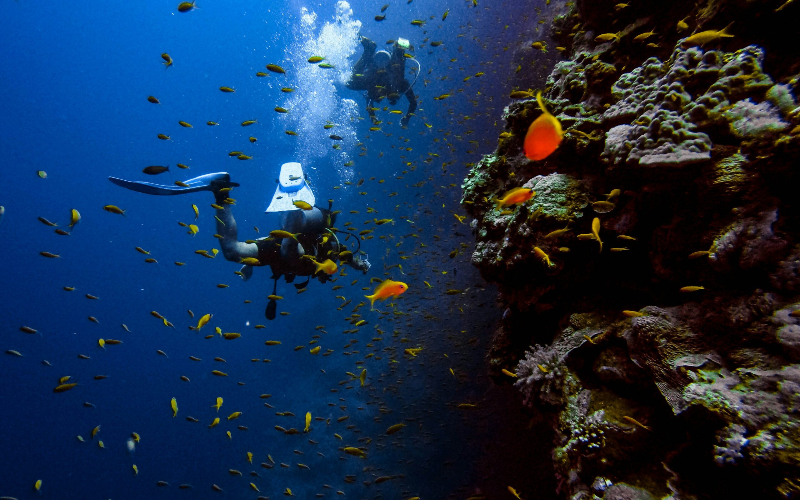 deep-wellness-dive-exploring-the-mind-and-body-benefits-of-scuba-diving