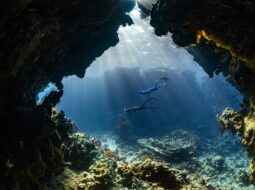 Darke Hull-Scuba Diving