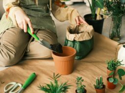 Mindful Gardening Practices That Deepen the Healing Experience