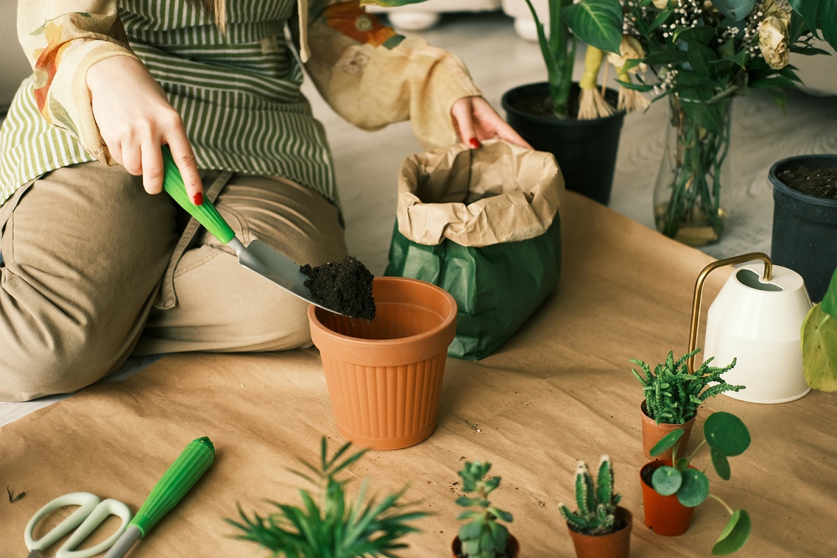 Mindful Gardening Practices That Deepen the Healing Experience