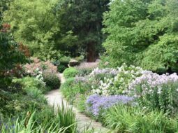 Healing Garden