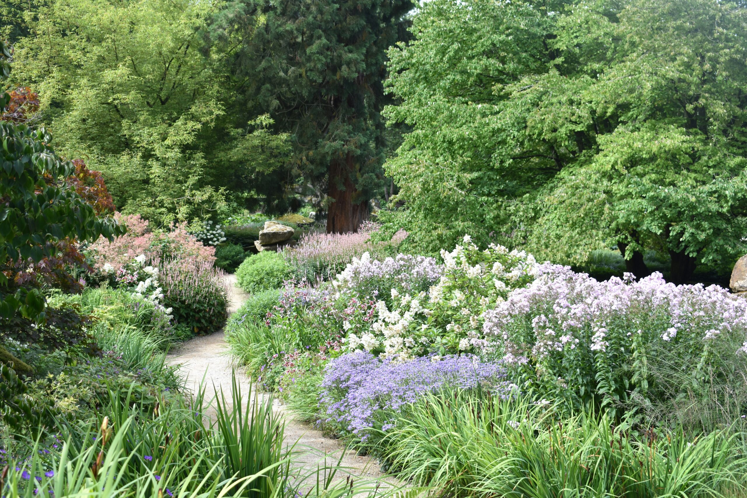 Healing Garden