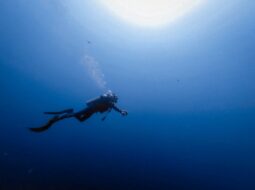 Scuba Diving Benefits The Science Behind a Healthier Mind and Body