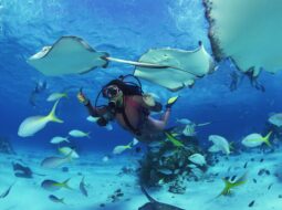 Darke Hull- Scuba Diving