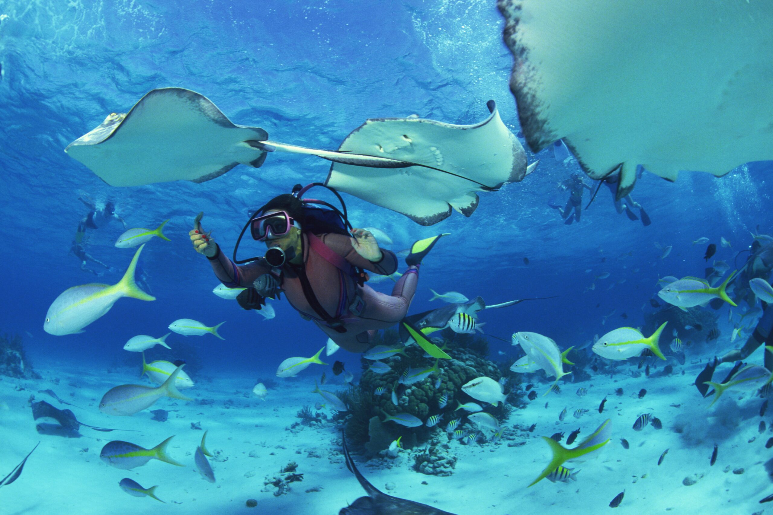 Darke Hull- Scuba Diving